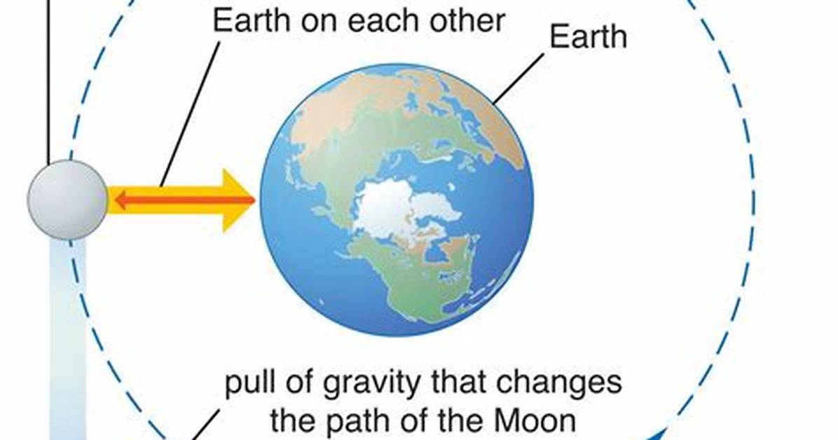 The Science of Strapless Tops Why Gravity Always Wins Without the Right