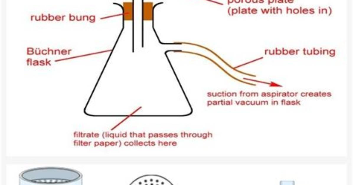 The Science of Suction