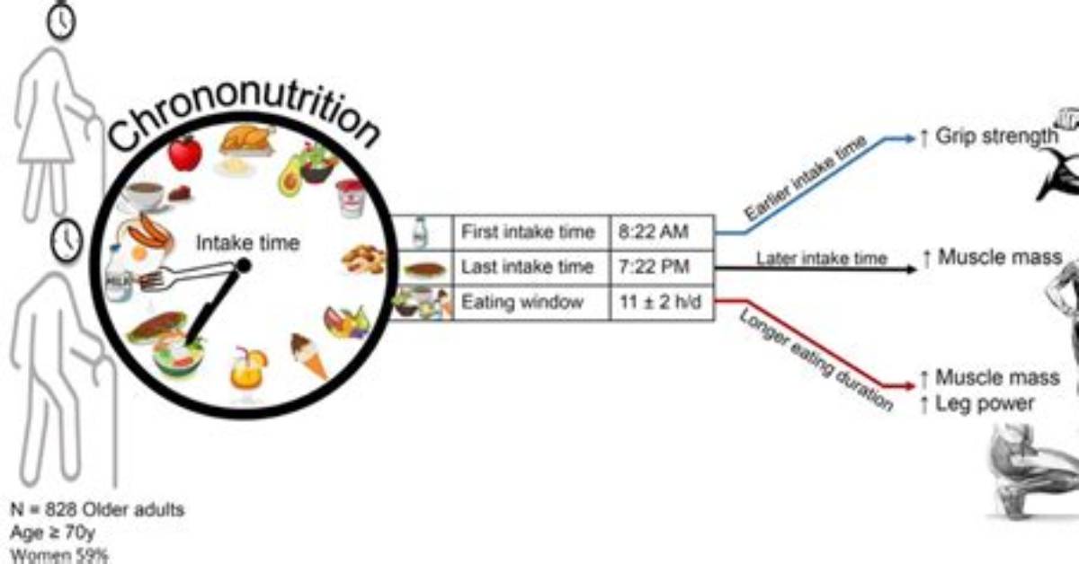 The Shift in Chrono Nutrition How New Findings Are Redefining Healthy