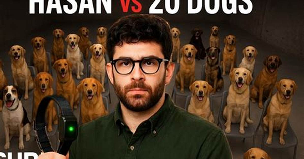 The Shock Dog Meme Explained the Hasanabi Dog