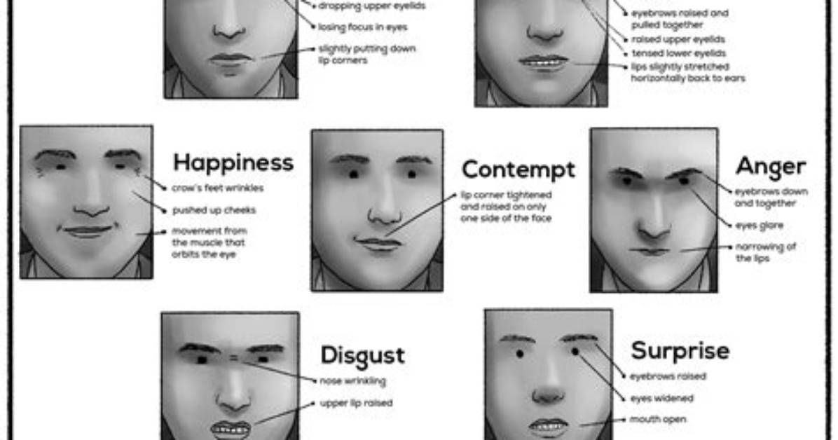 The Smirk Timeline How a Subtle Micro Expression Conquered 2026 Feeds And