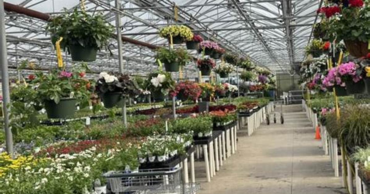 The Story Behind Wentworth Greenhouses How a Rollinsford