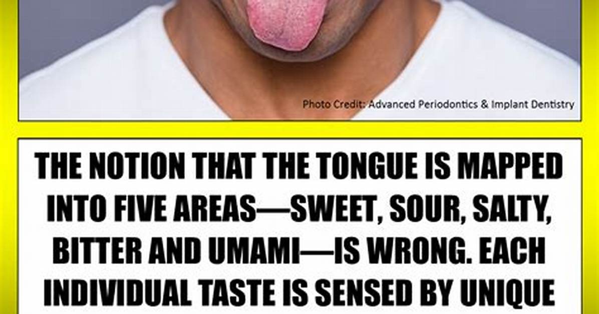 The Tongue Map Myth Debunked How