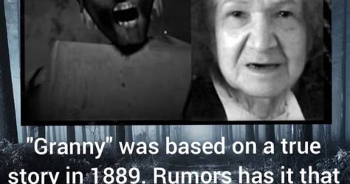 The True Story Behind Sexy Lady Tracing the Classic Ucb Anthem