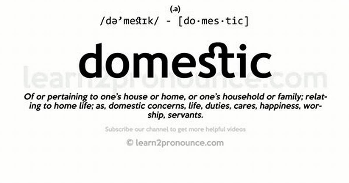 The Ultimate Explainer What Does Domestic Mean in Every