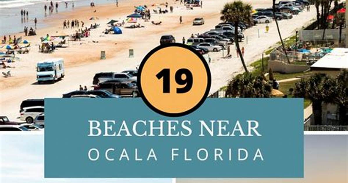 The Ultimate Guide to Beaches Near Ocala Fl Drive Times Perks And
