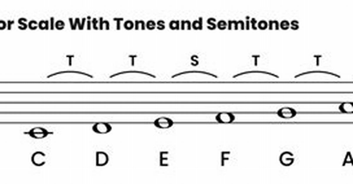The Ultimate Guide to C Major Scale Chords Triads 7Ths And