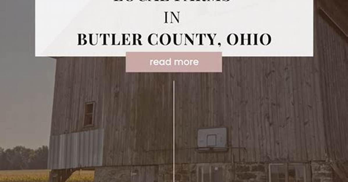 The Ultimate Guide to Hutton Butler on Tiktok Bio Content And