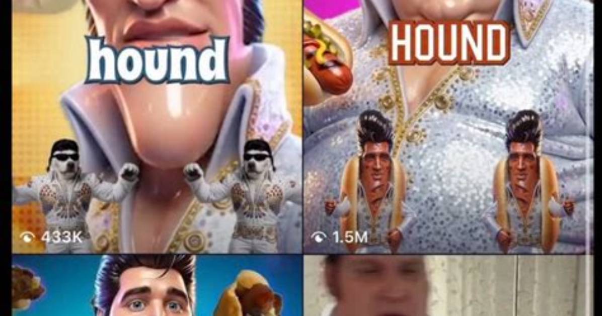 The Ultimate Hound Dog Meme Guide Tiktok Trends Origins And