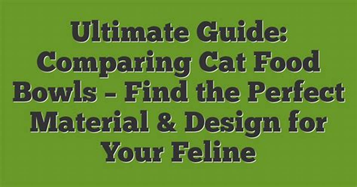 The Ultimate House of Bowls Dining Guide Must Order Items Parking And
