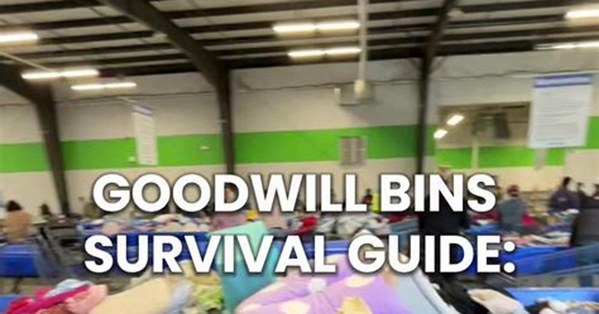 The Ultimate Houston Bins Survival Guide Customer Reviews Rules And
