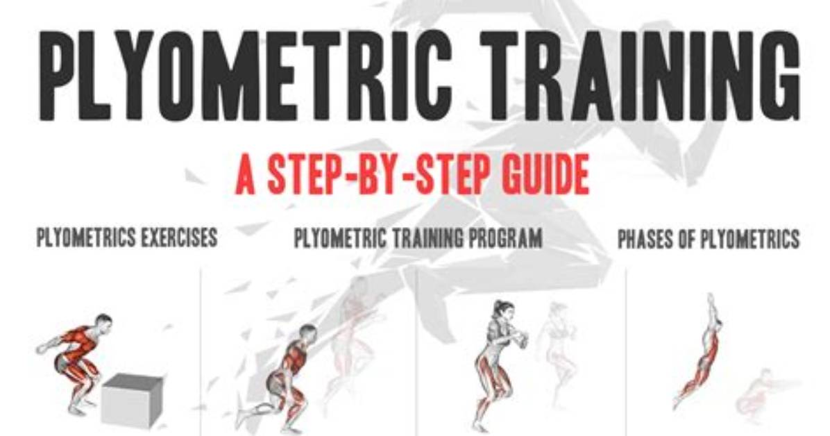 The Ultimate Plyometric Guide to Increasing Your Vertical Jump Science Backed Drills And