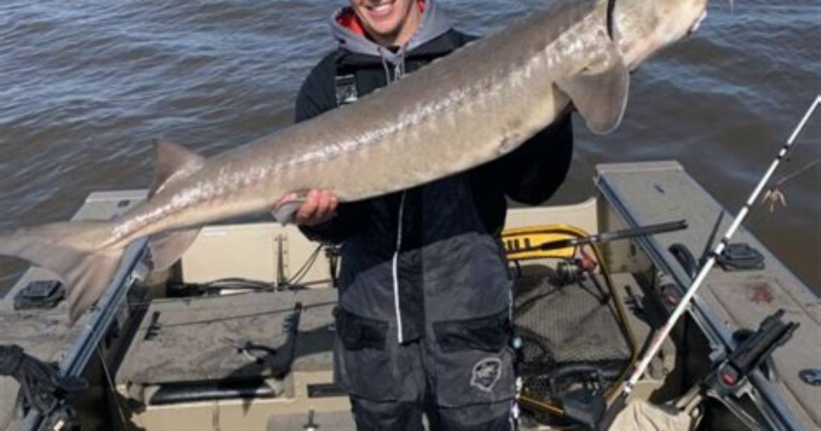 The Ultimate Sturgeon Finder S Guide Top River Habitats Legal Gear And