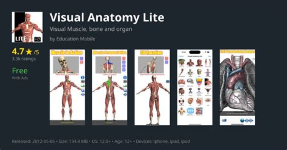 The Visual Anatomy of an Internet Trope Deconstructing Somali