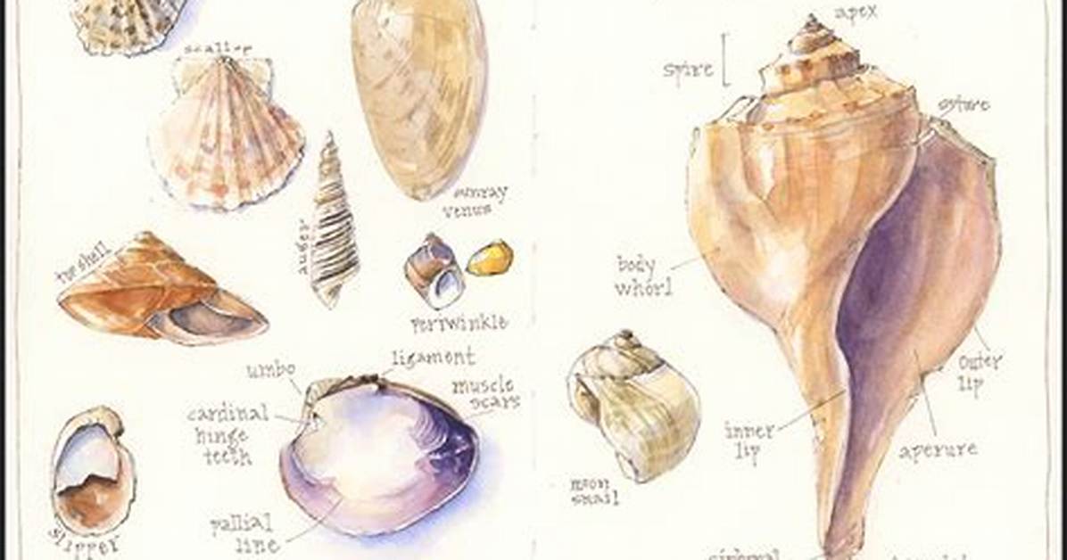 The Visual Anatomy of the Shell Shocked Meme from Wartime Stares To