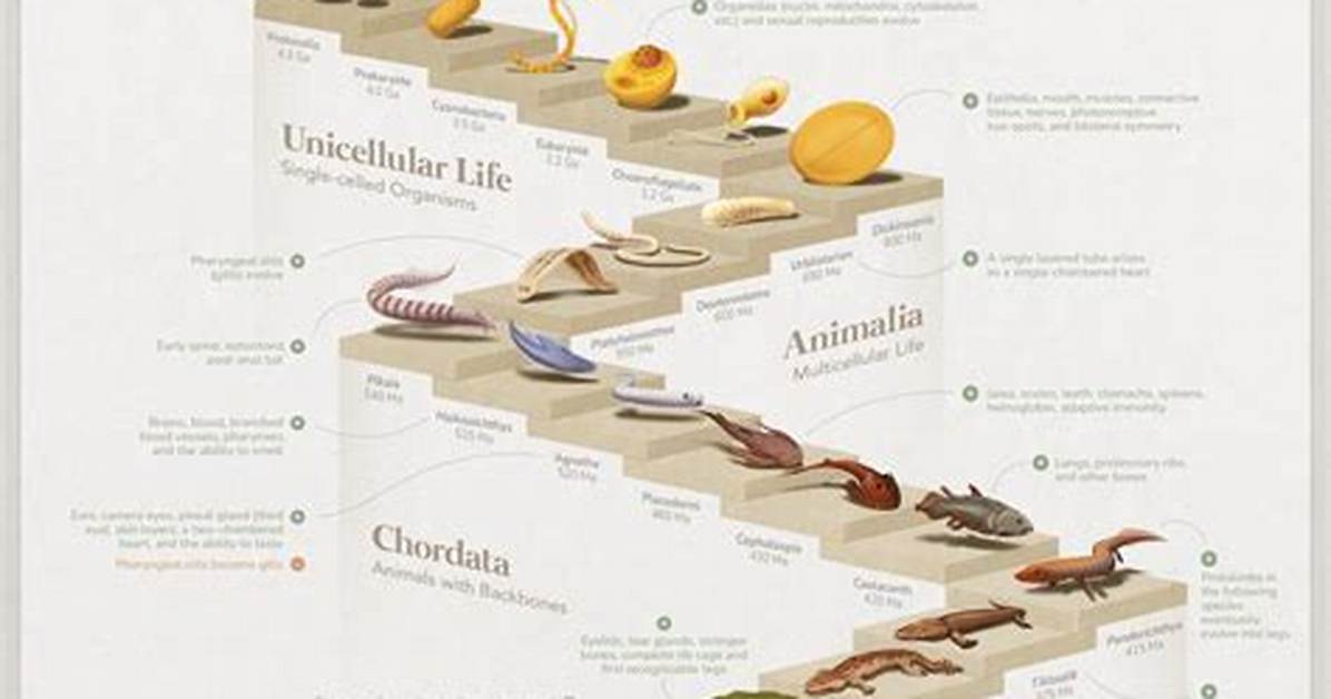 The Visual Evolution How One Iconic Line Became an Eternal