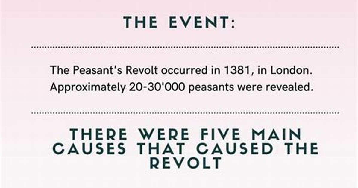 Timeline of a Fan Revolt How Why Is He Lying Took Over