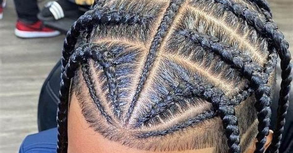 Top Braided Hairstyles for Boys Visual Breakdown of The