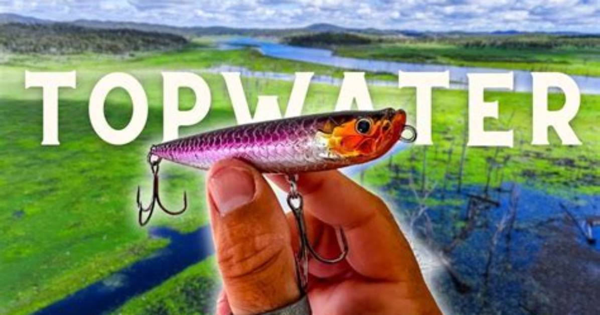 Topwater Strike Test Visible Proof Showing Why Braided Line Triggers More