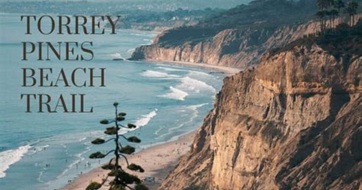 Torrey Pines Beach Trail Closure Guide Best Alternative Coastal Hikes in San