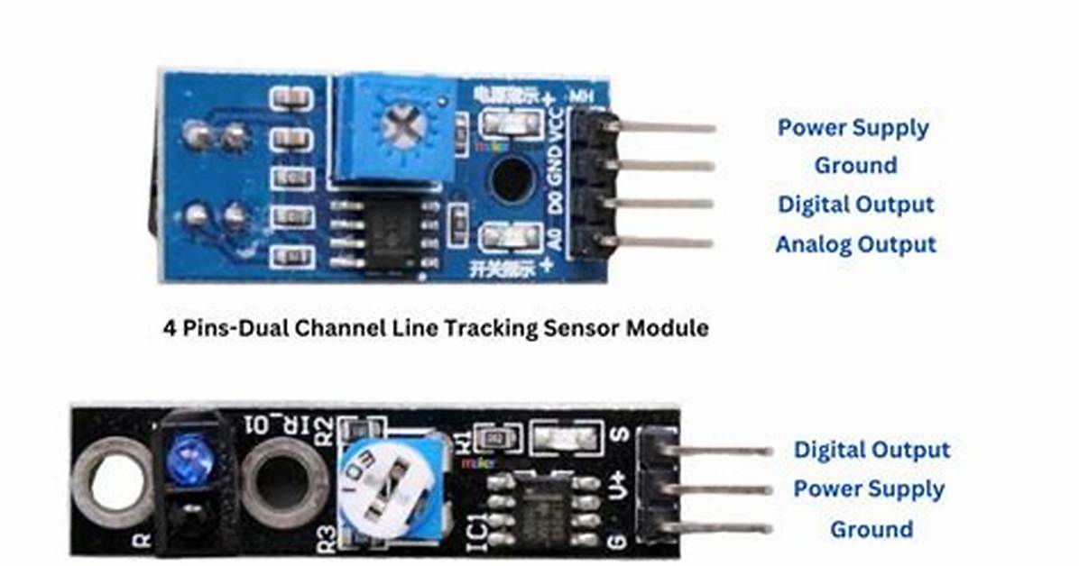 Tracking the Tailbeats Sensor