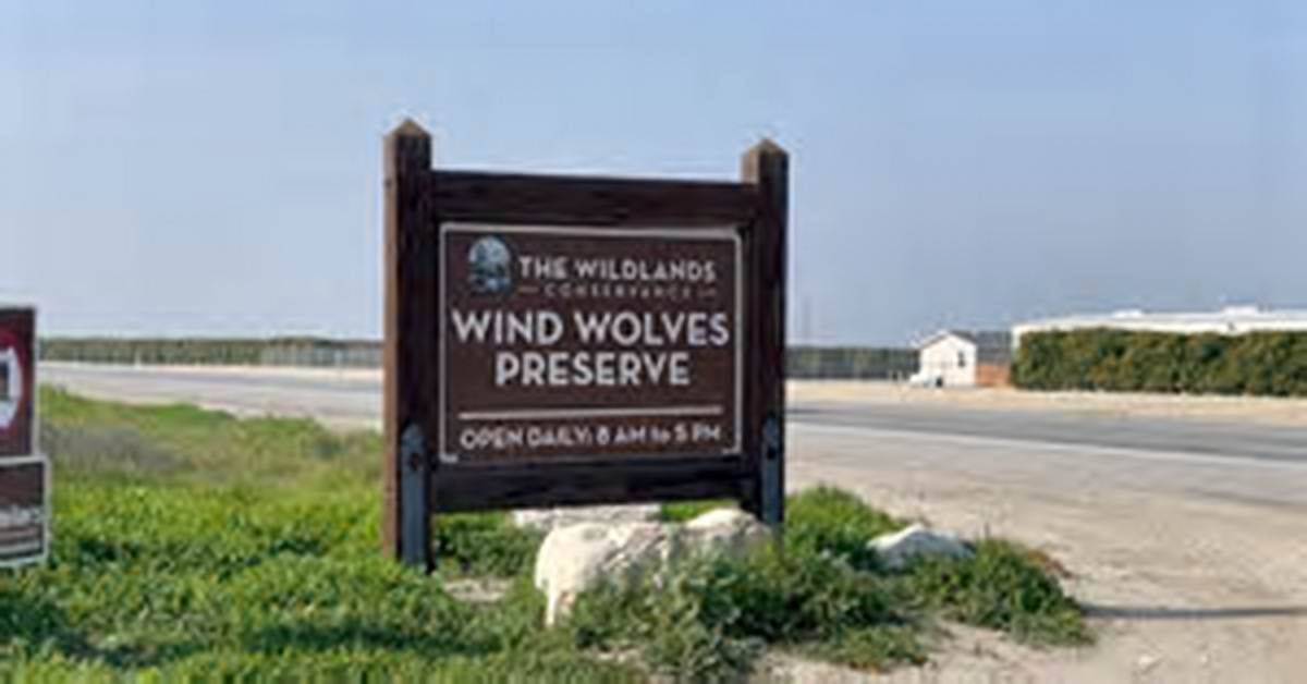 Trailhead Break Ins at Wind Wolves Preserve Witness Accounts and Security Measures In
