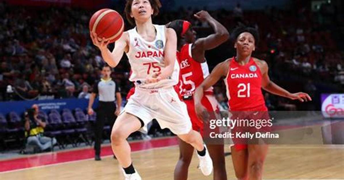 Tsumutsumu11Huifibano Zui Shi Jieha Shui Fiba Tu Ru Xitobomu Sheng Cheng Xino Shi Liwo Che Di Bi