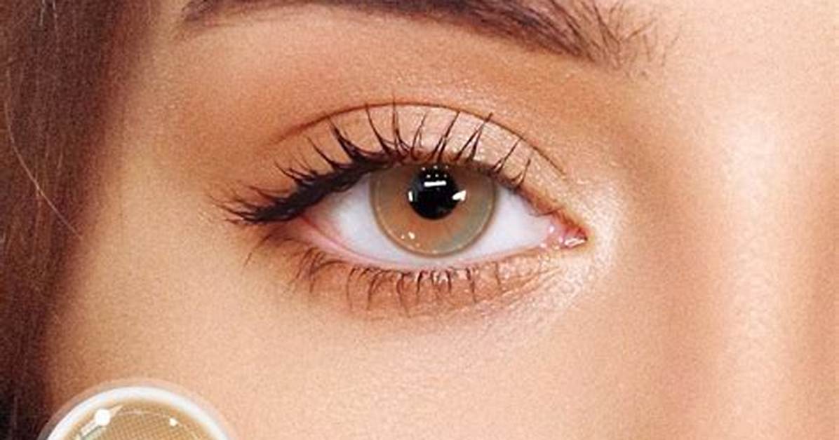 Ttdeye Coral Bay Brown Swatches