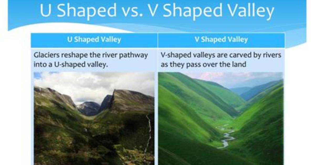 U Shaped vs v Shaped Side by Side Photographic Proof of Alligator And
