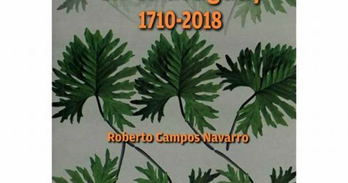 Unam Issues New Guidance on Empacho Remedies Step by Step Relief For