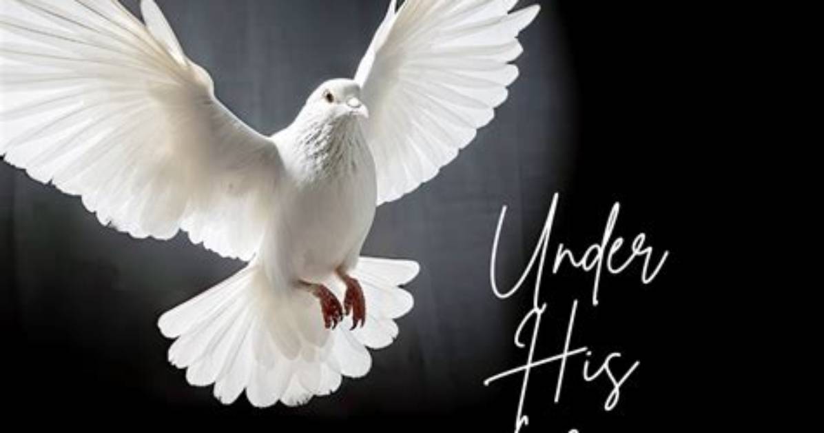Under His Wings the Catholic Text and Meaning of Psalm 91