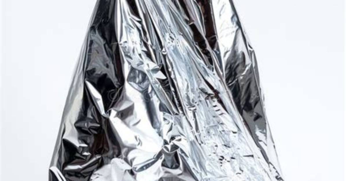 Under the Foil a Deep Visual Breakdown of Trader Joe S Frozen Meat And