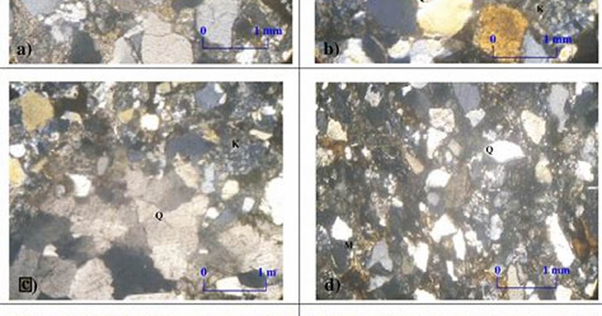 Under the Microscope What Coarse Body Scrubs Actually Do To