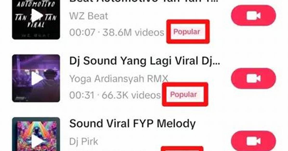 Unedited Footage vs Viral Tiktok Audio Examining the Selena And