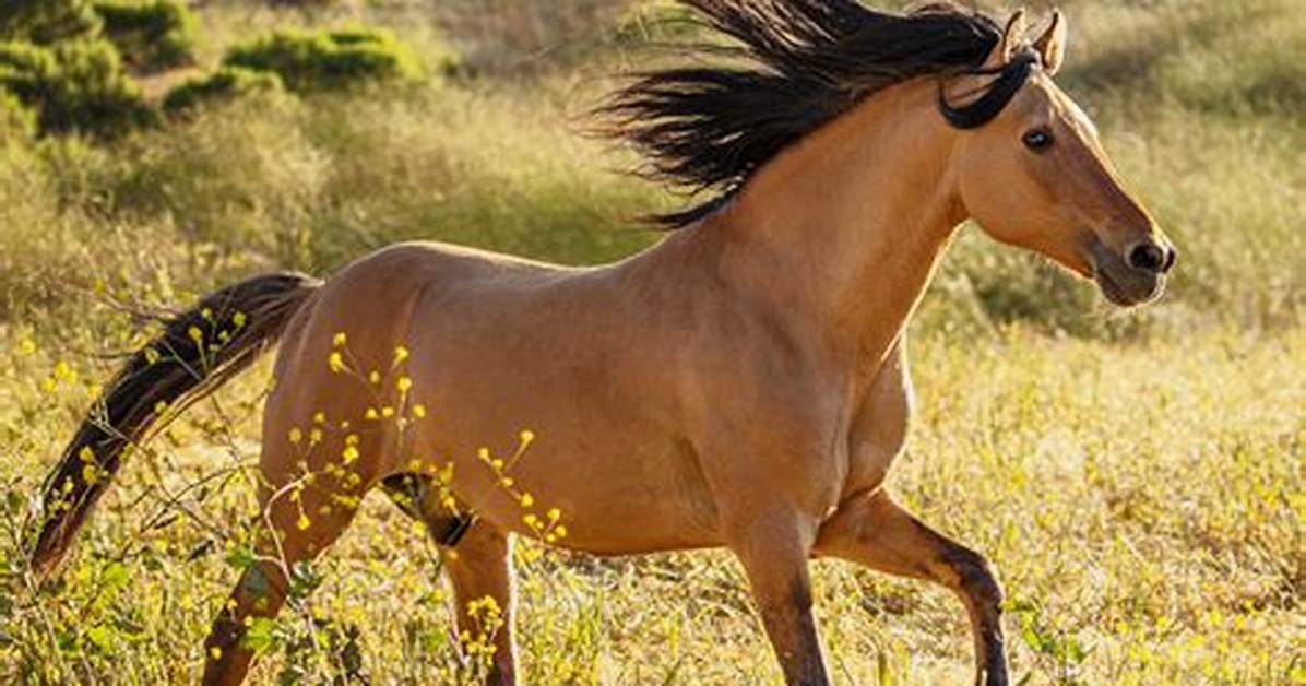 Unpacking the Horse Life Humanoid Screenshots Real Roblox Update Or