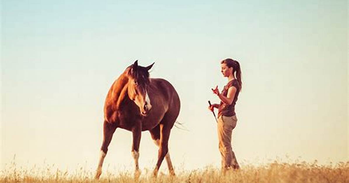 Unpacking the Women X Horse Trend Origins Context And