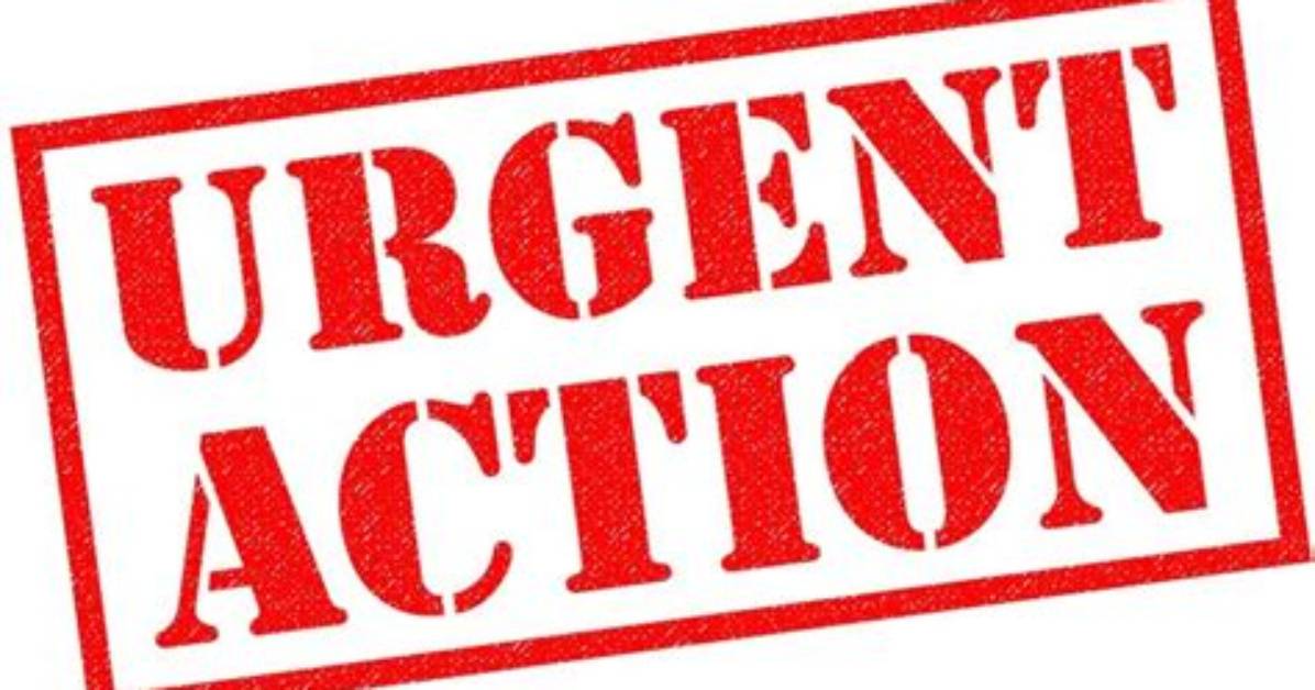 Urgent Action Required: How to Lock and Replace a Lost Bank of America Card Right Now
