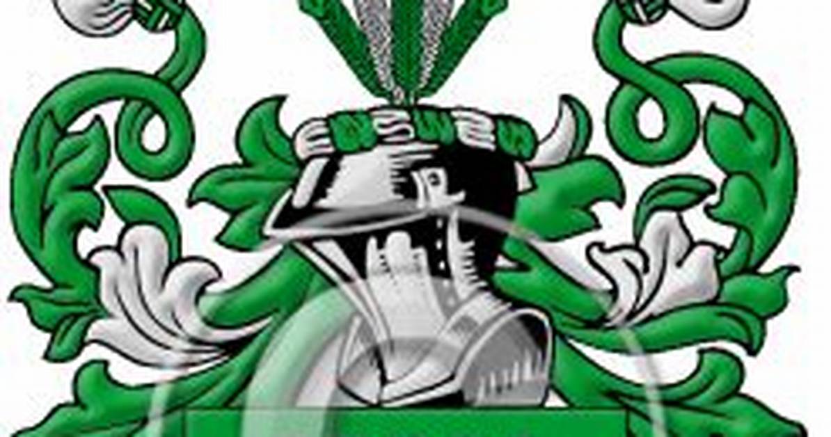 Vasquez Coat of Arms Visualized Blazons Colors and Real