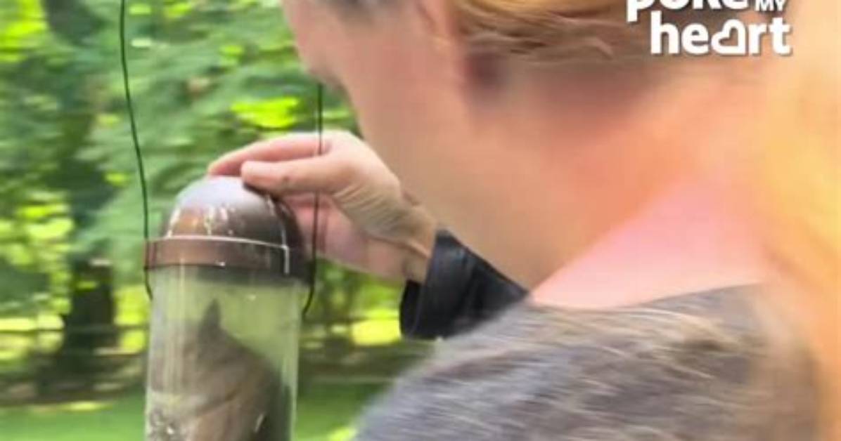 Viral Bird Feeder Confrontation on Tiktok Woman Flashes Middle Finger And