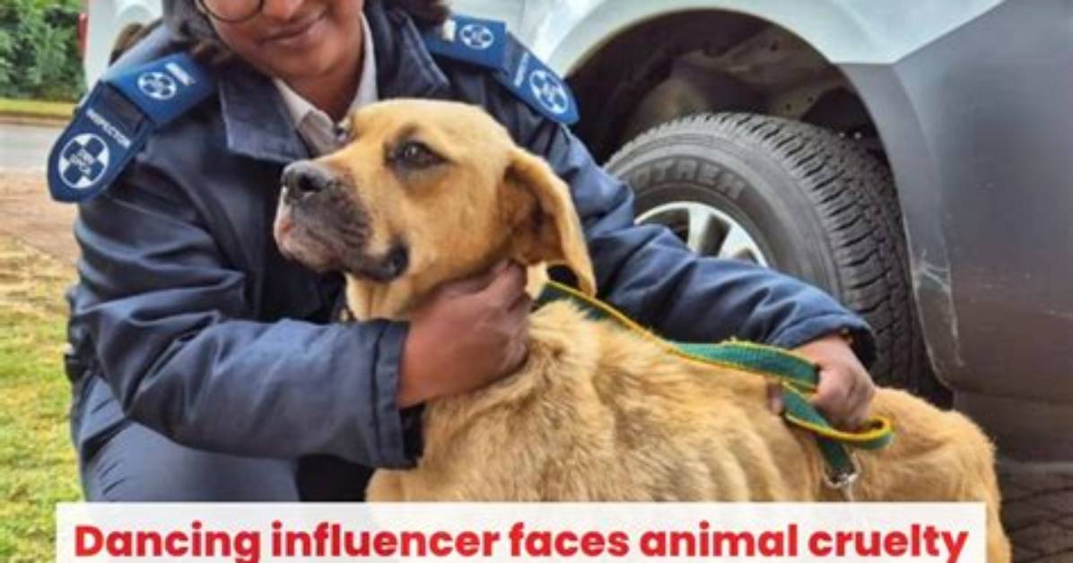 Viral Dog Cruelty Rumors Debunked What Really Happened in Recent