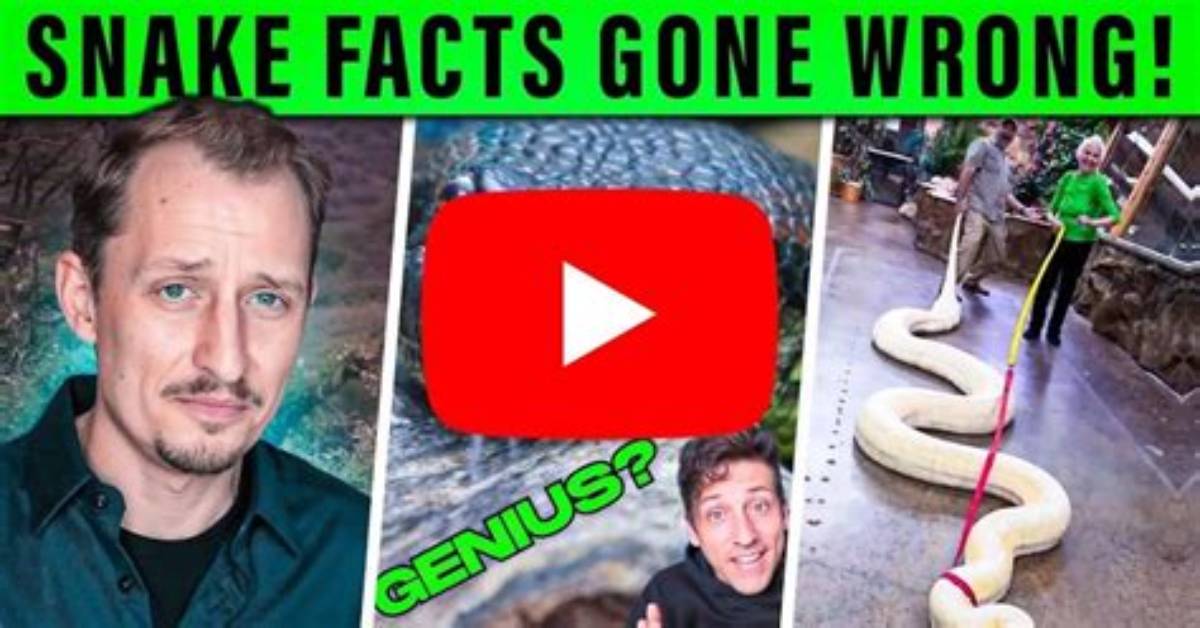 Viral Posters and Clips Decoded the Visual Evidence Behind The