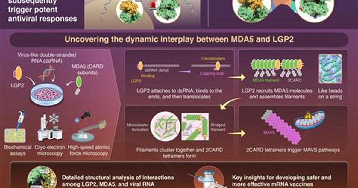 Viral Science Update How a Japanese Study Sparked a Global Debate On