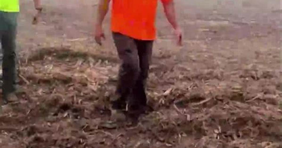 Viral Video Breakdown the Haywood County Landfill Altercation and Wright Brothers