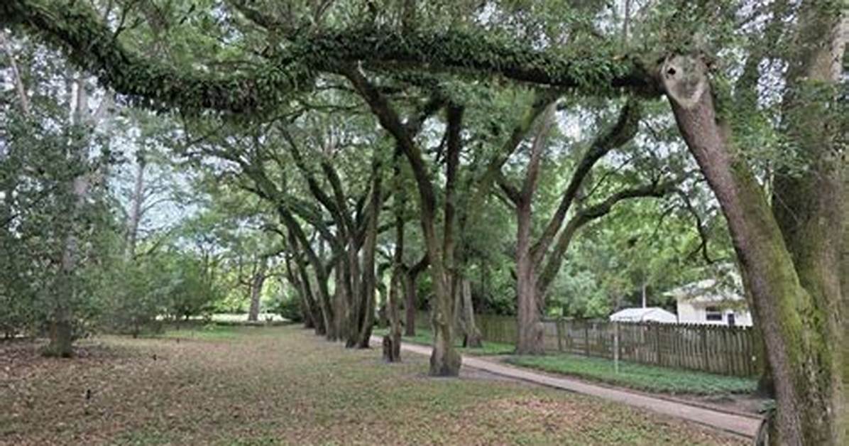Visiting Hopelands Gardens in Aiken Sc Hours Concert Tips And
