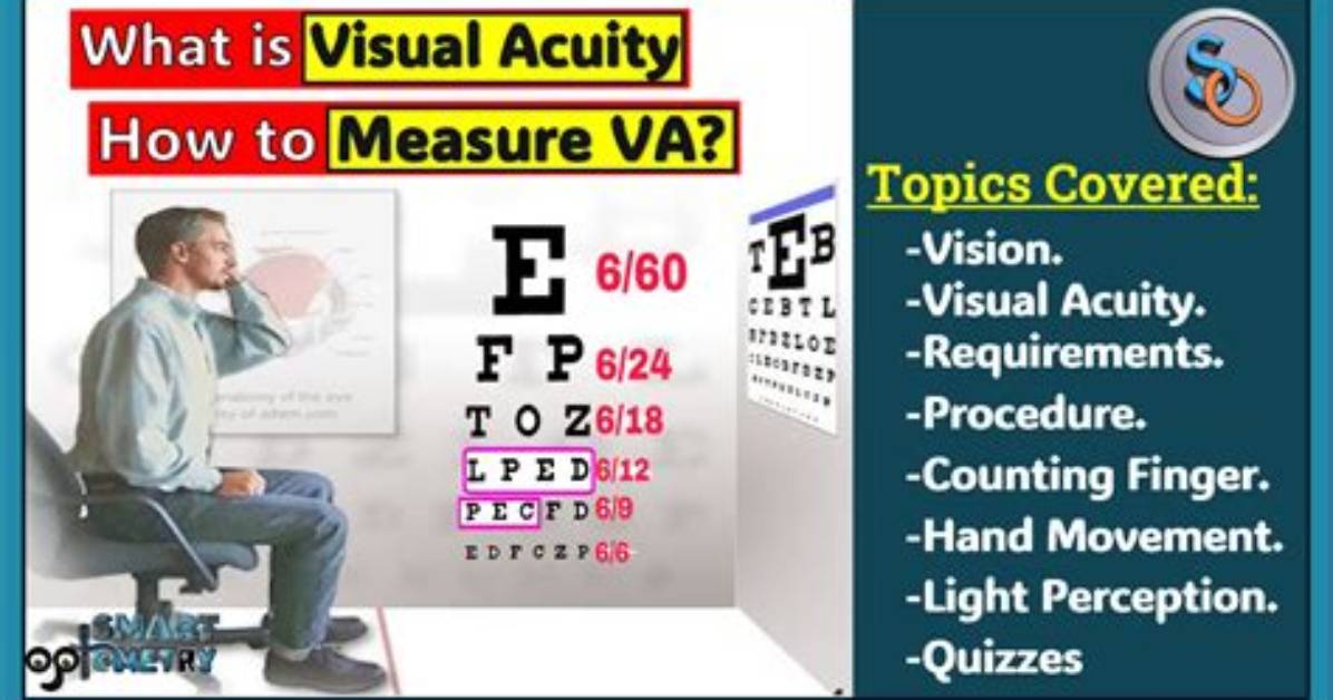 Visual Measurement Guide Exactly How to Measure 1 3 Cup Using a 1 4 Cup