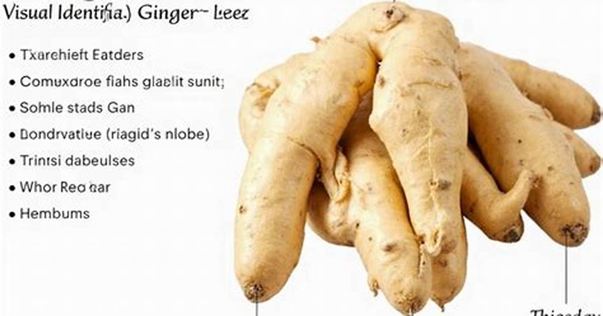Visual Proof and Historical Archives How Ginger Became Synonymous with Red