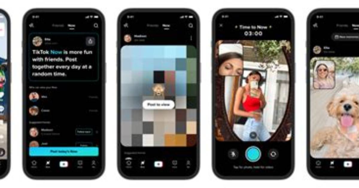 Visual Proof How Live Tiktok Feeds Double Website Conversions And