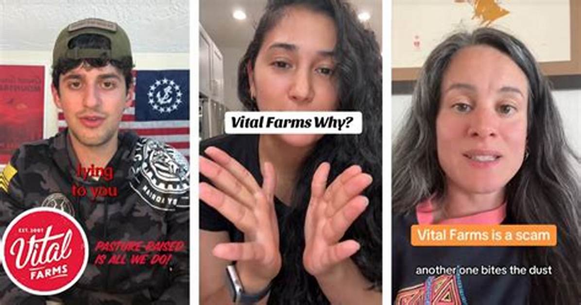 Vital Farms Boycott Explained How a Social Media Dispute Sparked