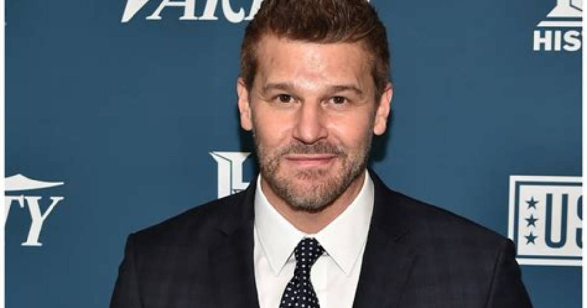 Was David Boreanaz Ever in the Military the Real Story Behind His Seal
