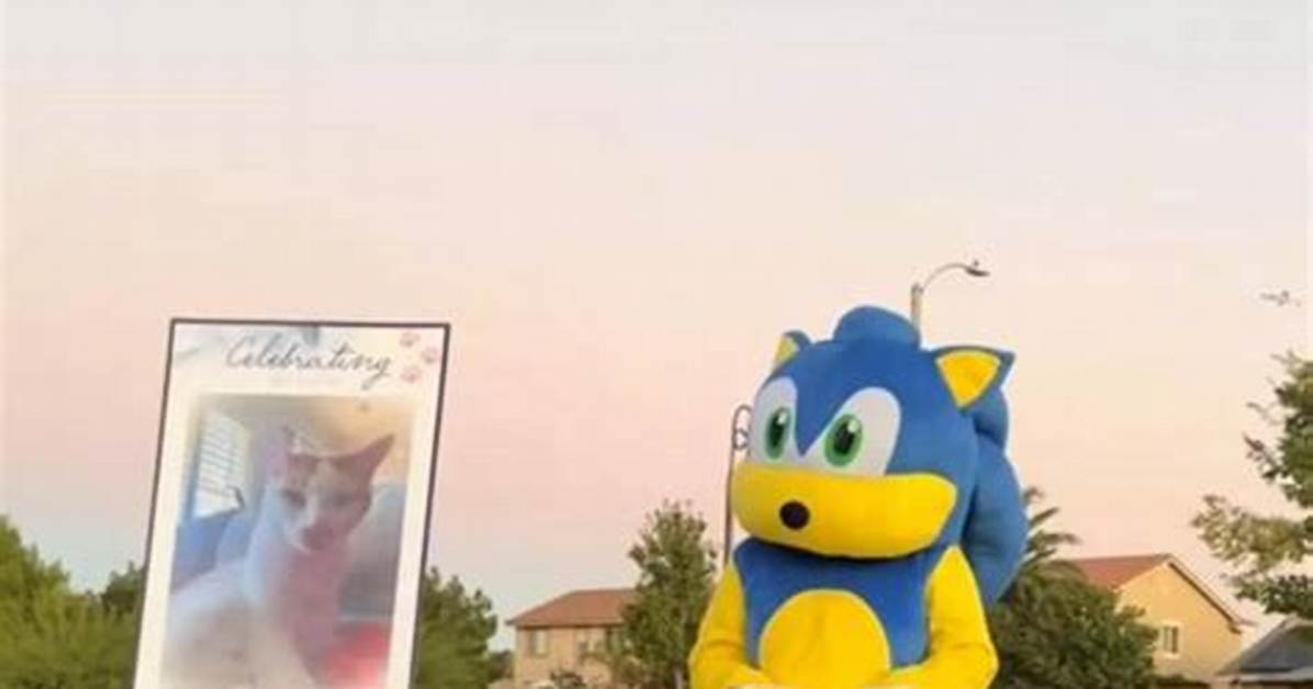 Watch the Sonic Cat Eulogy Video Visual Breakdown of Tiktok S